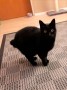 Cuqui (2)5